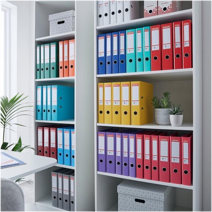 Actual product image Esselte Lever arch file plastic (A4, 75 mm, 1 Piece)