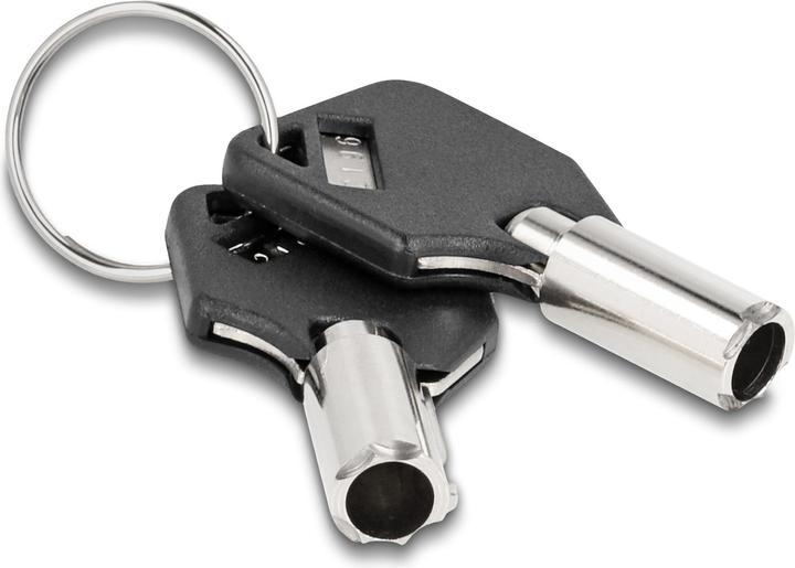 Actual product image Navilock Delock Notebook Fuse Cable for USB Type-A Socket with Key