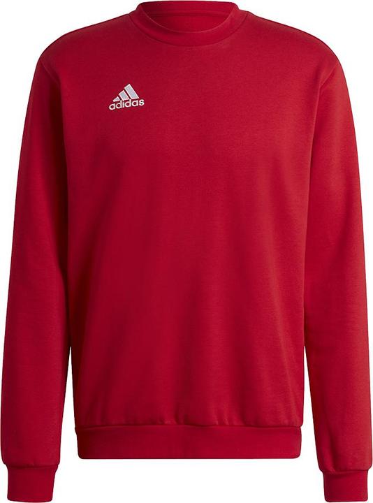 Actual product image adidas Entrada 22 sweatshirt men (3XL)