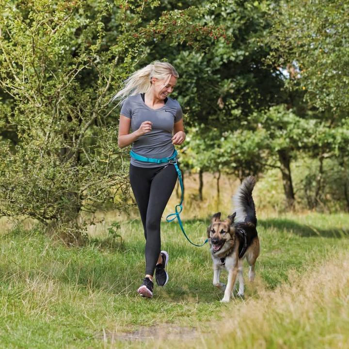 Productafbeelding Trixie Buikriem met riem (S, M, Hond, Joggen)