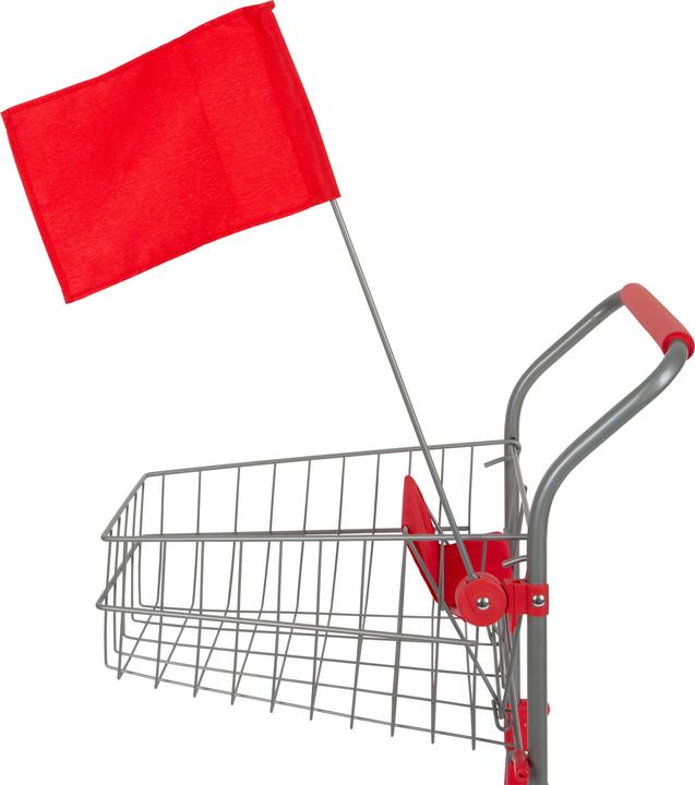 Actual product image small foot Shopping Cart