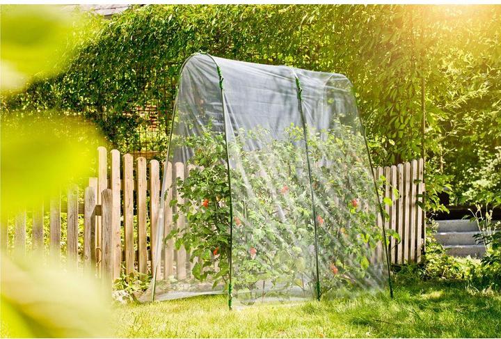 Produktbild Windhager Tomaten Folientunnel-Set