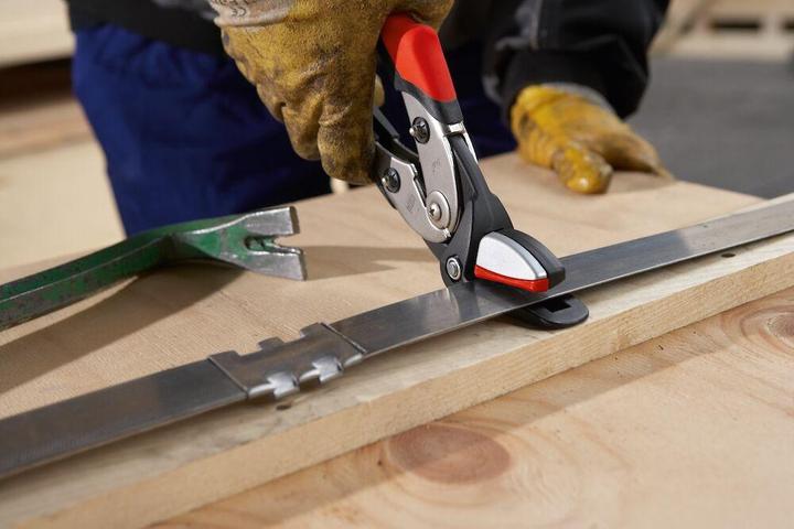Immagine prodotto Bessey Cesoie per cinghie di sicurezza con trasmissione a leva (32 mm)