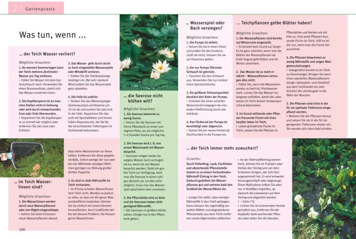 Immagine prodotto Creare e progettare stagni da giardino