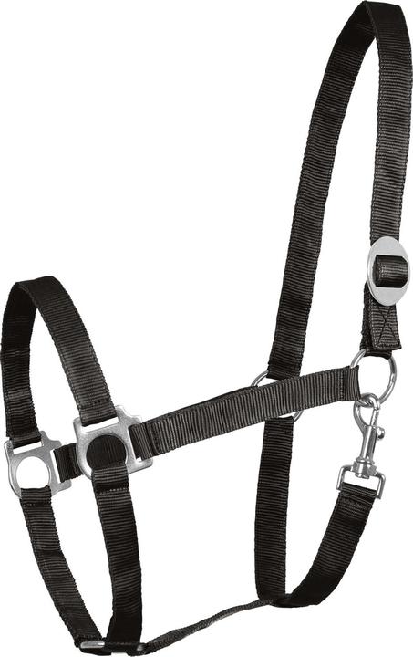 Waldhausen Perlonhalfter