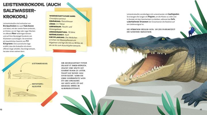 Actual product image National Geographic Besonders und wunderbar: Reptilien (German, Cristina Banfi, Claudia Theis-Passaro, 2021)