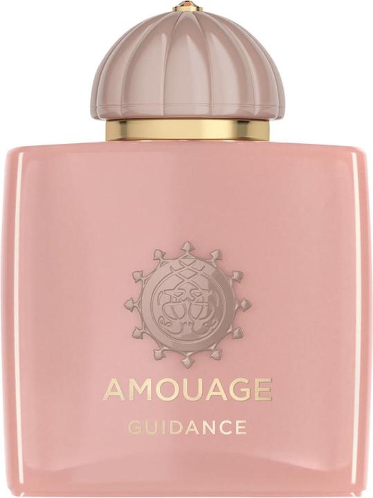 Amouage Guidance (Eau de Parfum, 100 ml)
