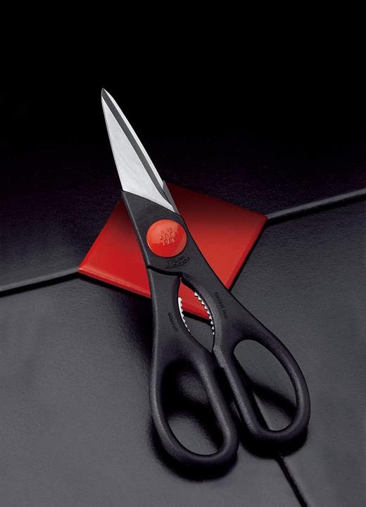 Produktbild Zwilling Vielzweckschere Twin (20 cm)
