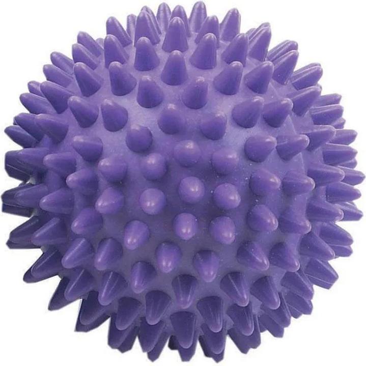 Viola