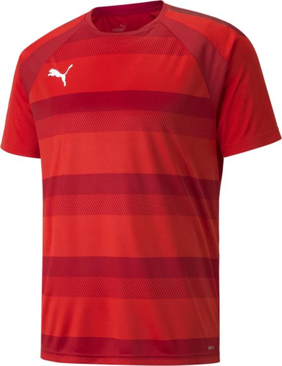 Actual product image Puma teamVISION Jersey-704921 (M)