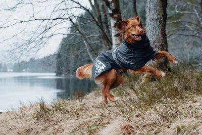 Actual product image Hurtta Monsoon Coat bilberry (65, Dog coat)