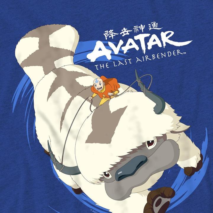 Produktbild Avatar: The Last Airbender In Flight TShirt (M)
