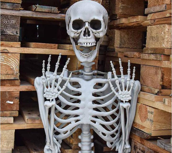 Actual product image TOP Life size skeleton