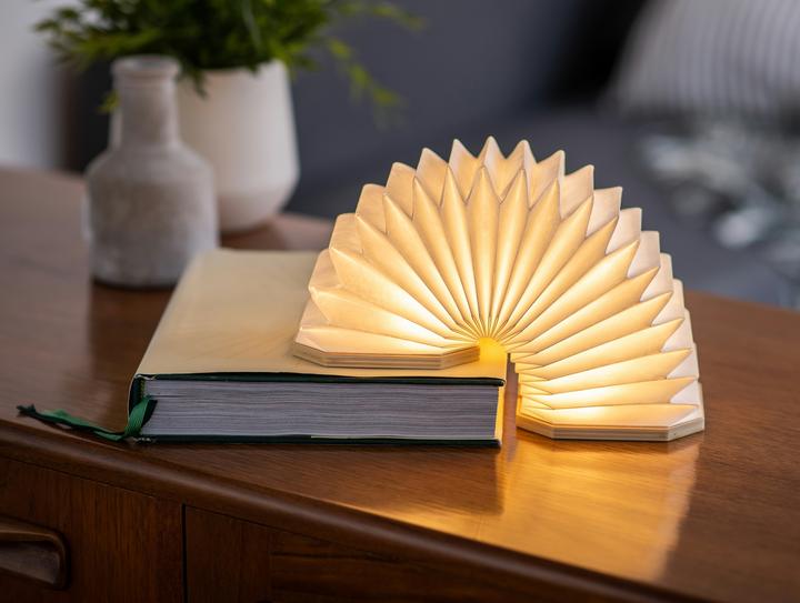 Actual product image Gingko Accordion lamp