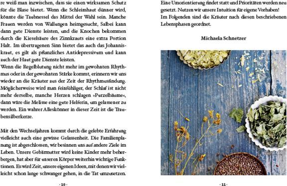 Produktbild Das kleine Buch: Kräuter, die Frauen guttun (Deutsch, Michaela Schnetzer, 2019)