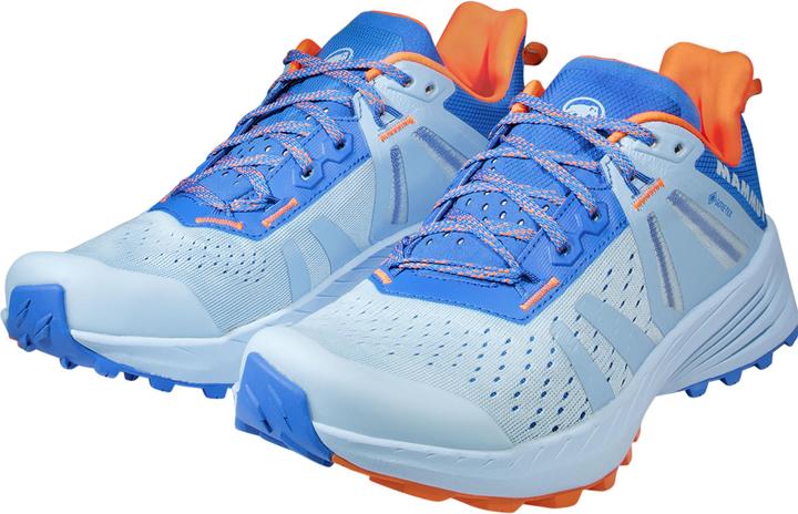 Image du produit Mammut Saentis TR Low GTX Women (38)