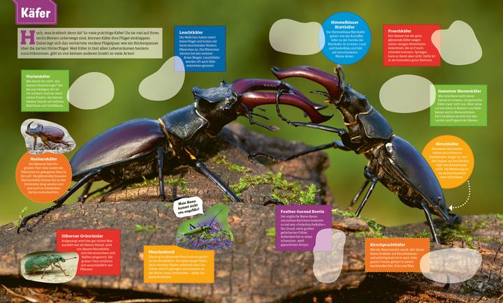 Produktbild Tessloff WAS IST WAS Stickerheft Insekten