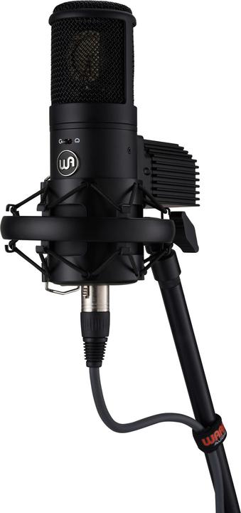 Actual product image Warm Audio WA-8000