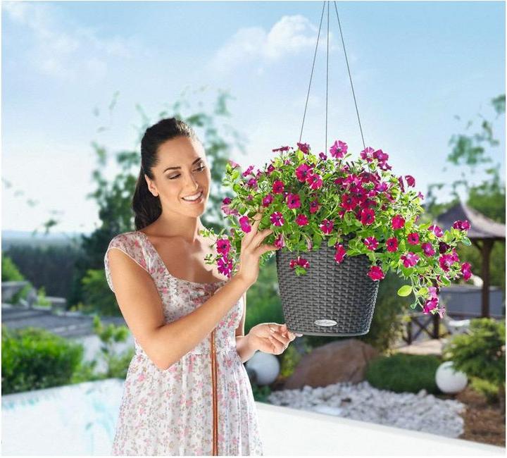 Actual product image Lechuza Nido Cottage (27 cm)