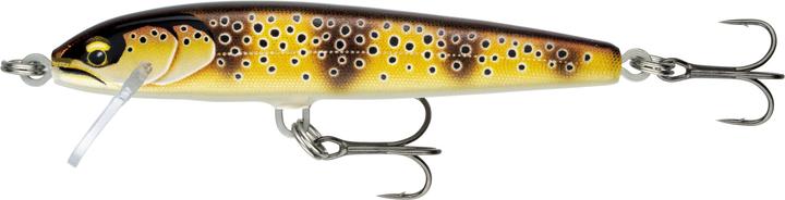 Image du produit Rapala Floater Elite