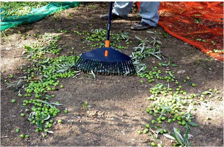 Actual product image Fiskars 1014915 Rake