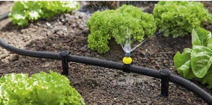 Actual product image Kärcher Earth spike (Irrigation sensor)
