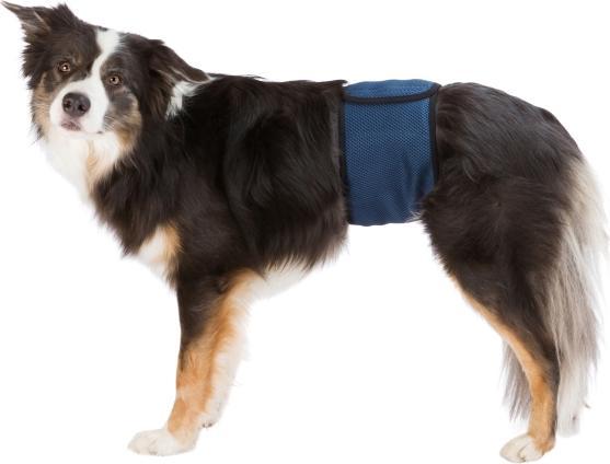 Trixie Fasciatura maschile S 29-37cm (S)