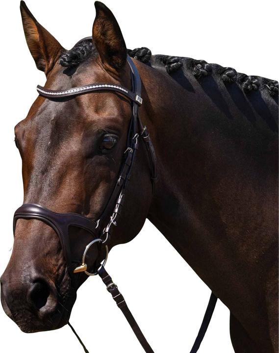 Immagine prodotto Premier Equine San Paolo