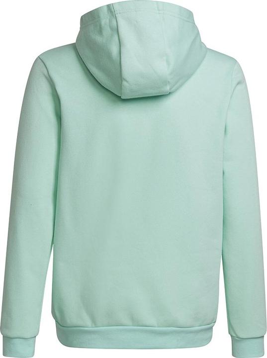 Actual product image adidas Entrada 22 Sweat Hoodie (116)