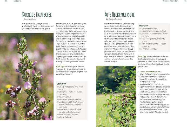 Produktbild Heimische Pflanzen für den Garten (Deutsch, Elke Schwarzer, 2022)