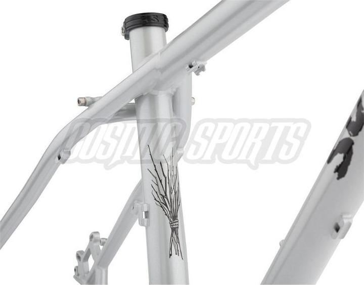 Actual product image Surly Krampus MTB frame kit, 29+, XL, first loser silver