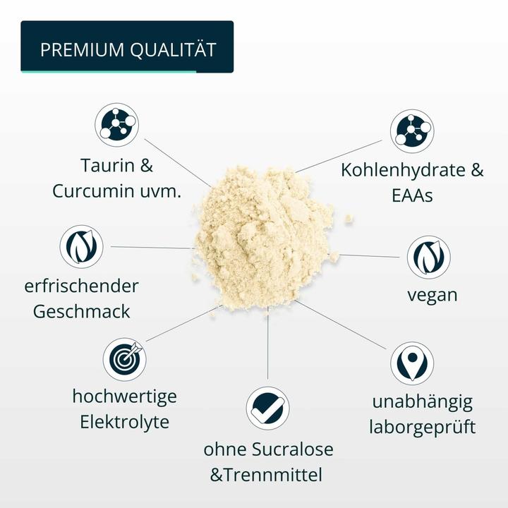 Produktbild Brandl-Nutrition Endurance Vegan (Zitrone, 1 Stk., 600 g)