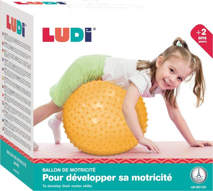Actual product image LUDI Motor Development Ball Gymnastics and Yoga Ball for Children - Massage Texture with soft pins -