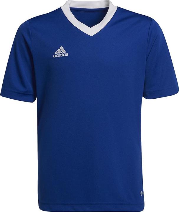 Actual product image adidas Entrada 22 Football Shirt Kids (152)