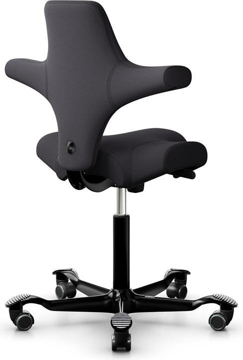 Actual product image HAG Capisco 8106