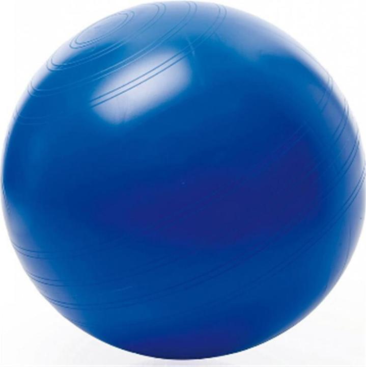 Image du produit Togu Seatball (65 cm)