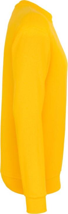 Image du produit Hakro Sweat-shirt homme PERFORMANCE soleil taille S (S)