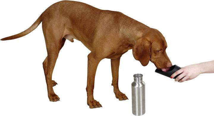 Immagine prodotto Kerbl Bottiglia da viaggio in acciaio inox incl. beverino (0.75 l)