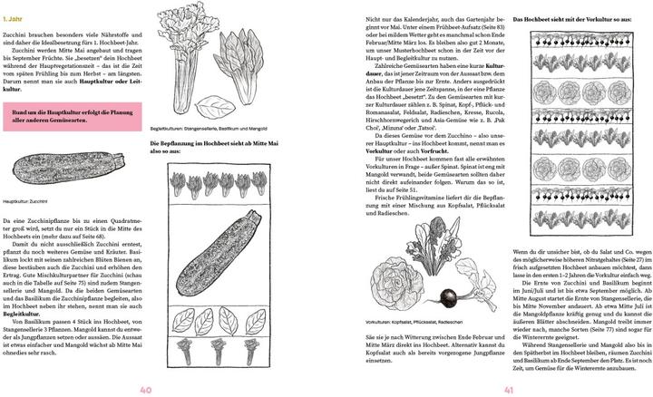 Image du produit Das grosse Hochbeet-Buch (Allemand, Doris Kampas, 2024)
