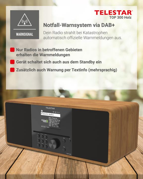 Produktbild Telestar TOP 300 (Internetradio, DAB+, FM, Bluetooth, WLAN)