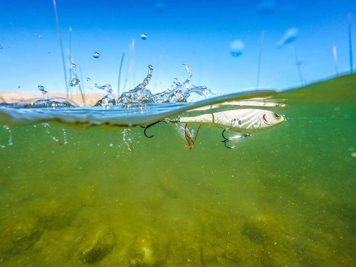 Produktbild Berkley Choppo Plopper (9 cm)