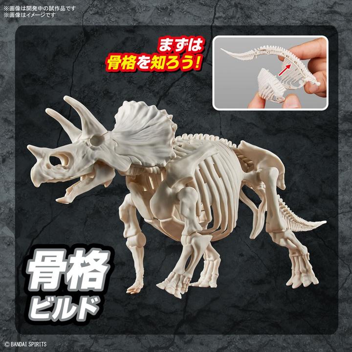 Actual product image Bandai Planosaurus - Triceratops