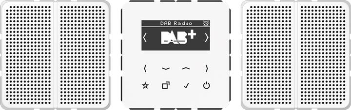 JUNG DABCD2WW Radio intelligente DAB (Tuner radio)
