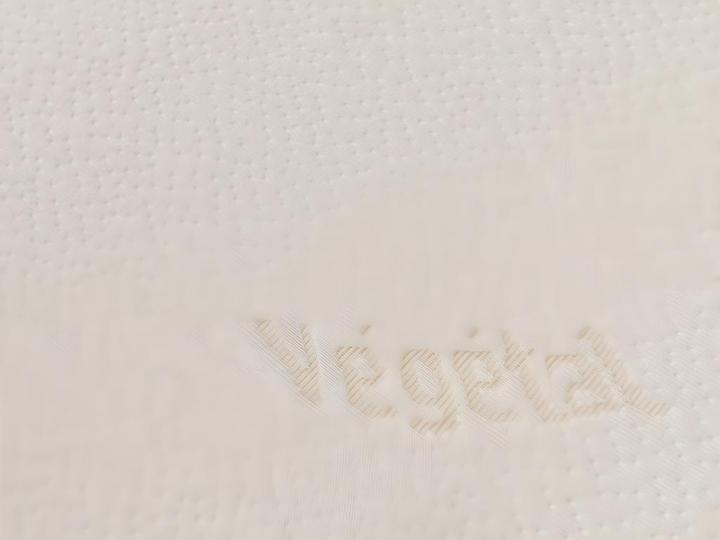 Immagine prodotto Dodo Vegetal (60 x 60 cm)