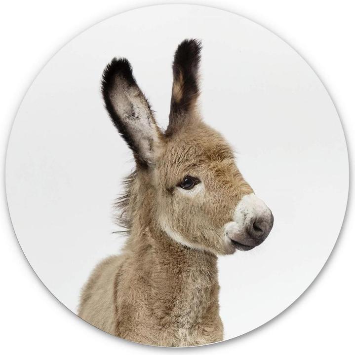 Image du produit Trenddeko Bébé âne (Ø 30 cm)