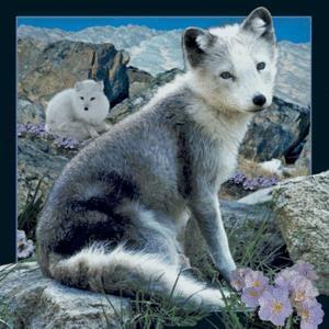 Image du produit Worth Keeping 3D-Polarfuchs-Magnet