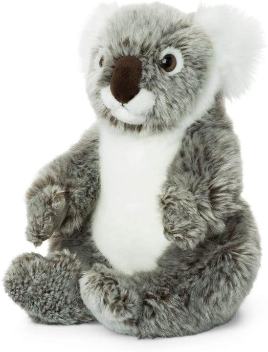 Actual product image WWF Koala (15 cm)