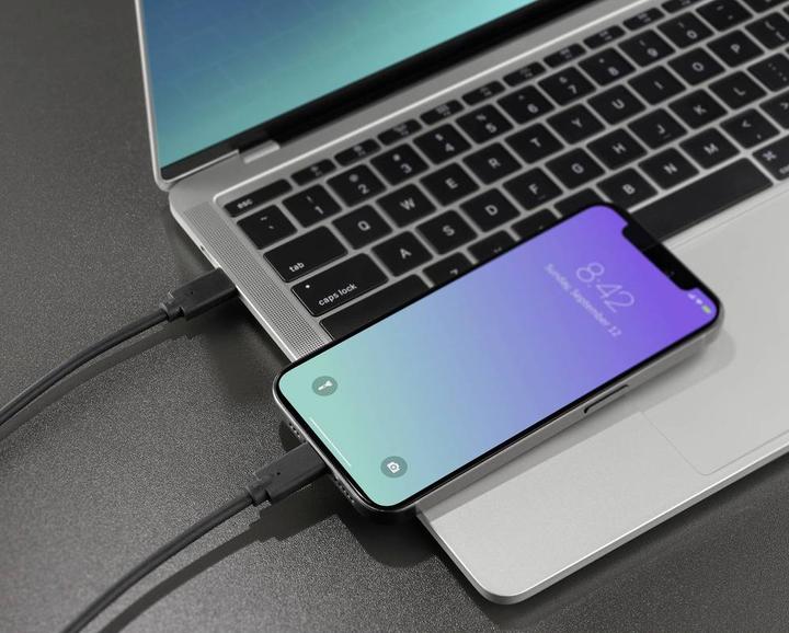 Productafbeelding Renkforce USB-C beeldschermkabel USB 3.2 Gen2x2 male 50,00 cm zwart TPE omhulsel (RF-5501100) (0.50 m, USB 3.2 Gen 2)