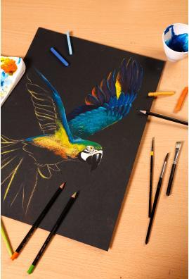 Actual product image Clairefontaine Paint'On (250 g/m², 72 x)