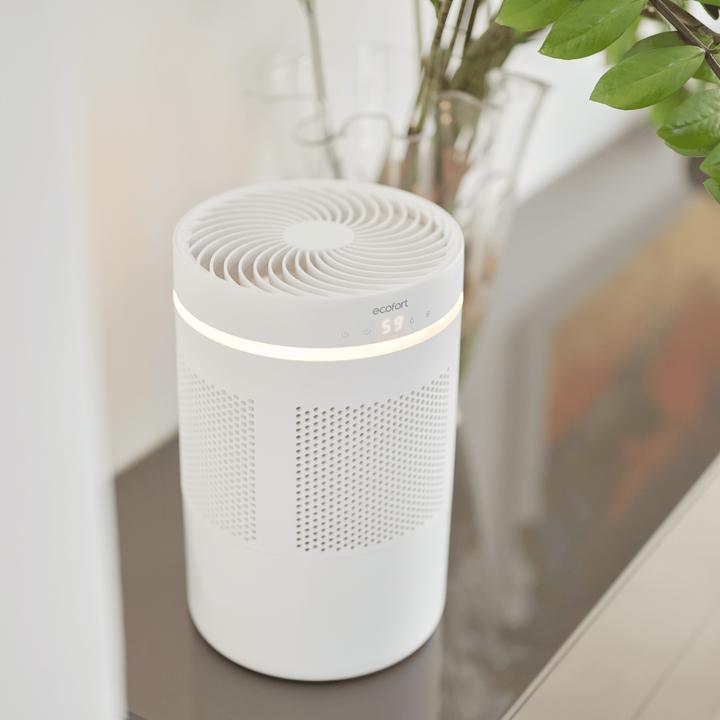 Actual product image ecofort ecoQ HumidAir E300+ (40 m²)